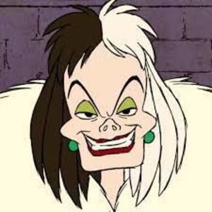 Meet your Posher, Heidi